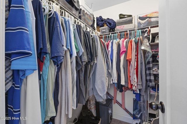 view of spacious closet