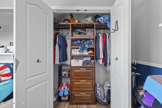 view of closet