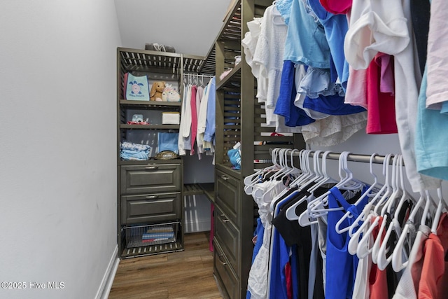 spacious closet featuring wood finished floors
