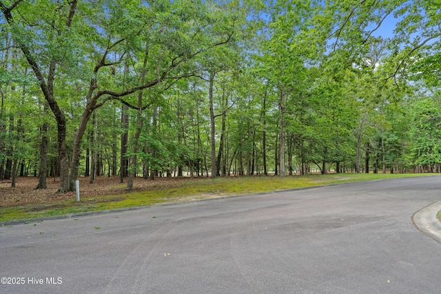 3525 Fairway Crest Dr SW, Shallotte, NC 28470
