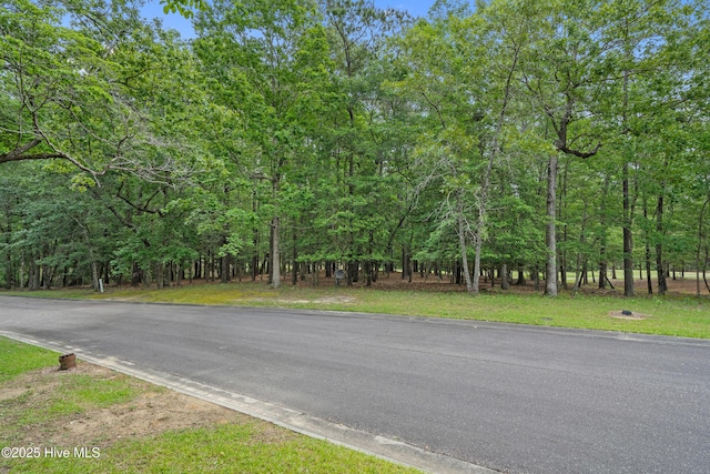 3525 Fairway Crest Dr SW, Shallotte, NC 28470
