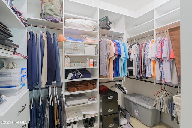 view of walk in closet