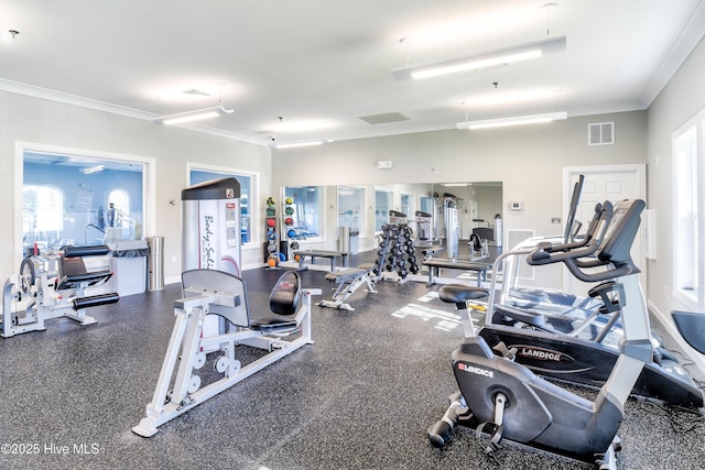 workout area with crown molding, plenty of natural light, and visible vents