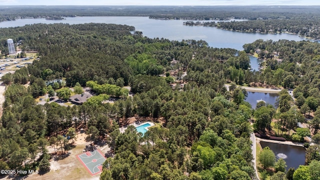 drone / aerial view of a forest and a large body of water