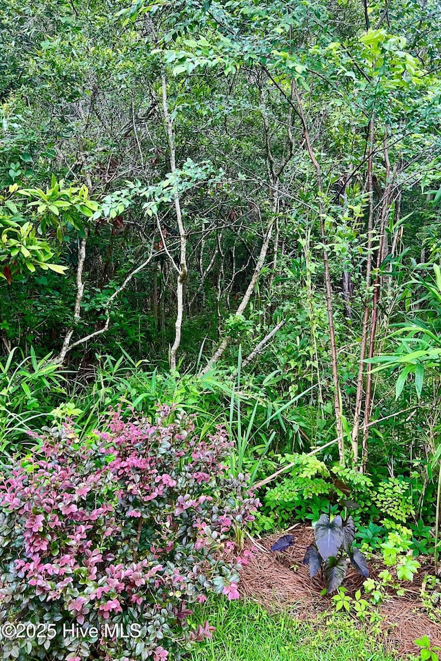 489 Broomsedge Ct SE, Bolivia, NC 28422 - view of nature