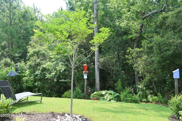 489 Broomsedge Ct SE, Bolivia, NC 28422 - view of green lawn