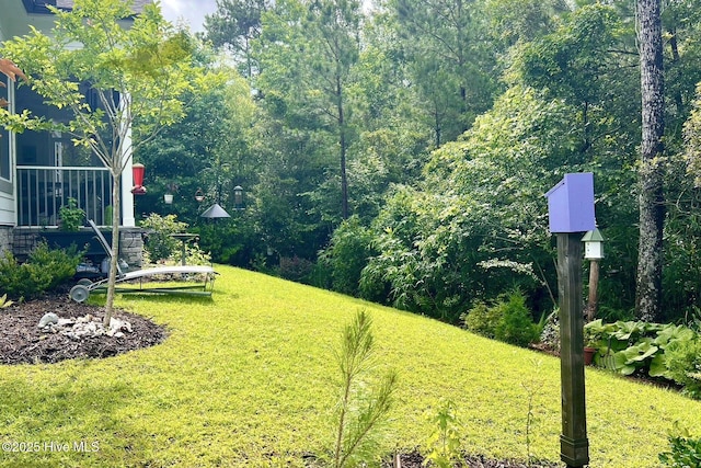 489 Broomsedge Ct SE, Bolivia, NC 28422 - view of green lawn