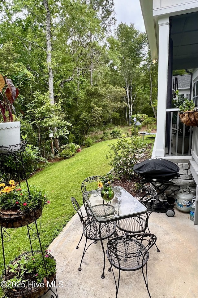 489 Broomsedge Ct SE, Bolivia, NC 28422 - view of patio / terrace