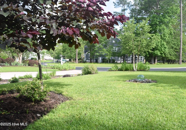 489 Broomsedge Ct SE, Bolivia, NC 28422 - surrounding community with a yard