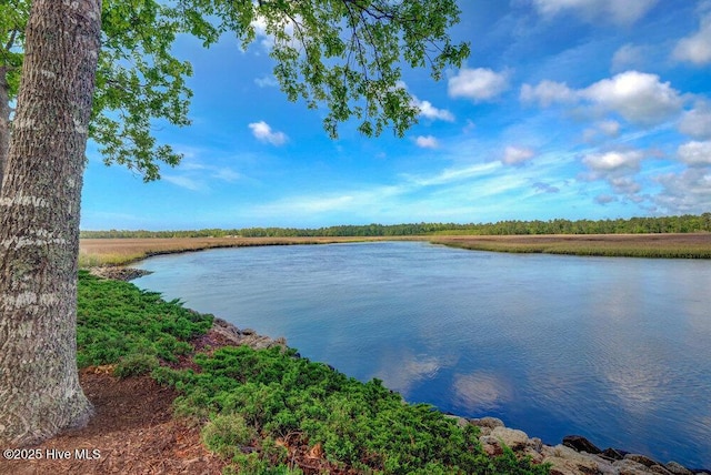 489 Broomsedge Ct SE, Bolivia, NC 28422 - water view