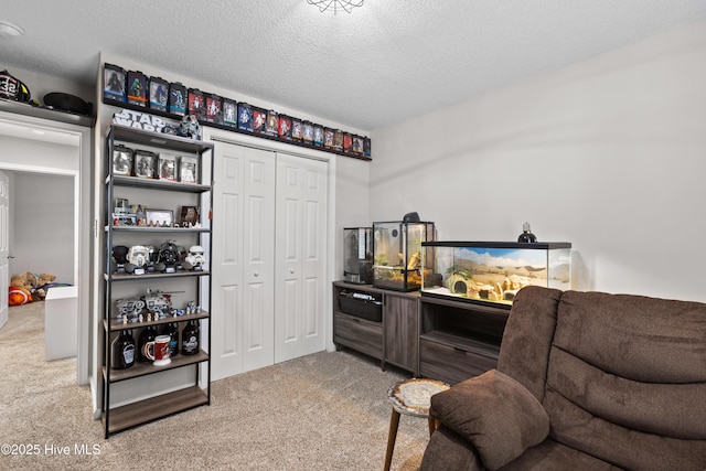 interior space with carpet floors and a textured ceiling