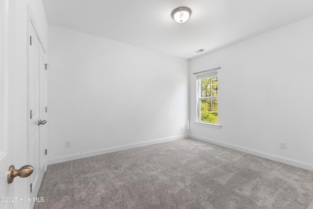 365 W Goldeneye Ln, Sneads Ferry, NC 28460 - spacious closet featuring carpet floors