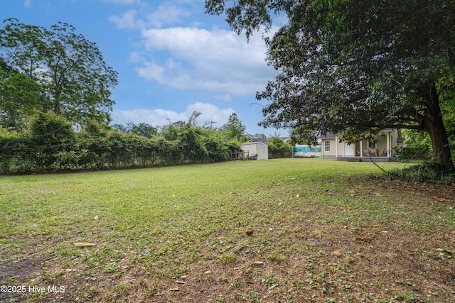 view of yard featuring a storage shed and an outbuilding