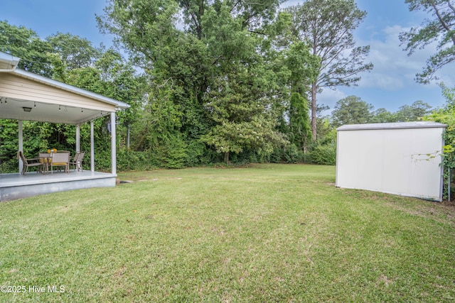 view of yard with a patio, an outdoor structure, and a storage unit