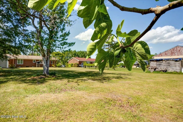 view of green lawn