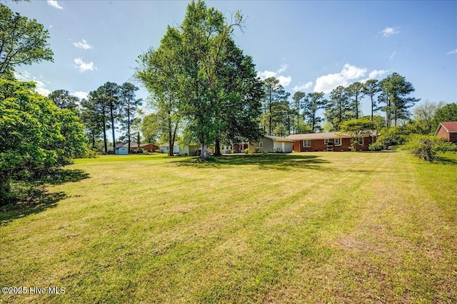 view of grassy yard