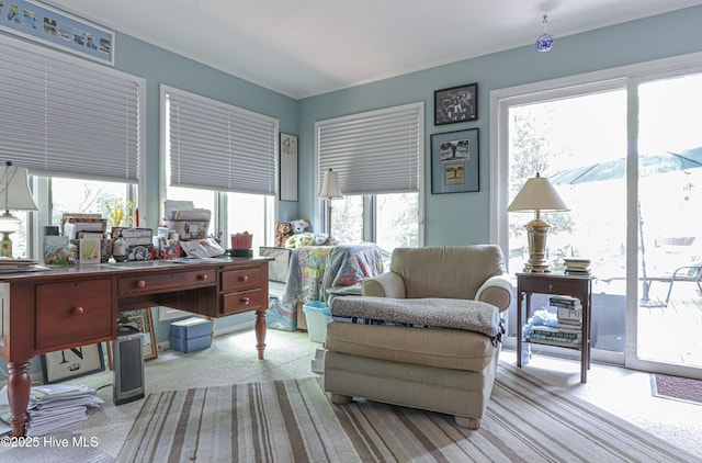 1 Collett Ln, Pinehurst, NC 28374 - carpeted office space featuring crown molding