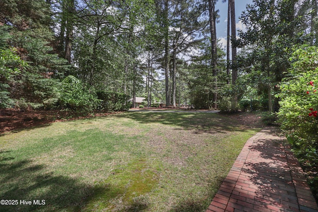 1 Collett Ln, Pinehurst, NC 28374 - view of grassy yard