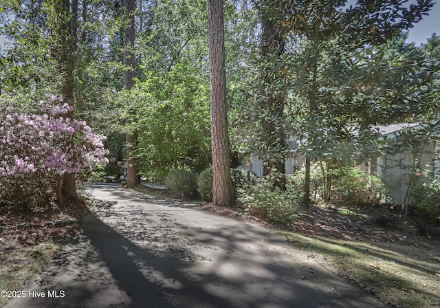 1 Collett Ln, Pinehurst, NC 28374 - view of road