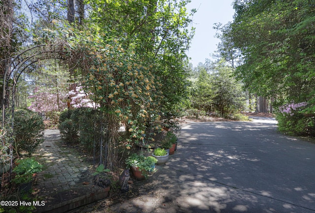 1 Collett Ln, Pinehurst, NC 28374 - view of road