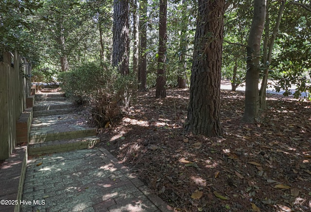 1 Collett Ln, Pinehurst, NC 28374 - view of yard