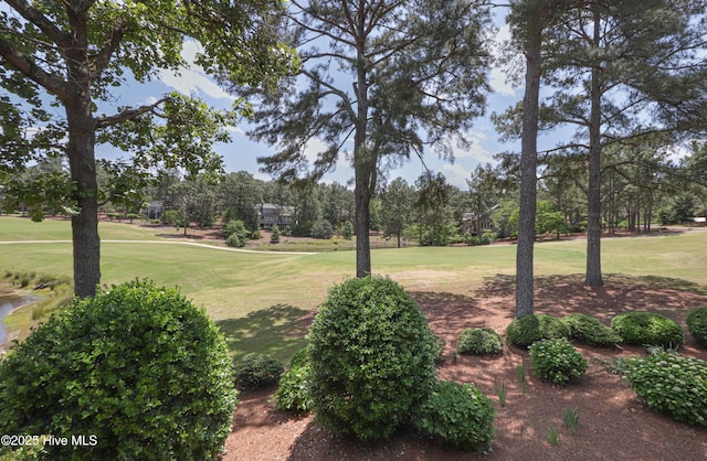 12 Shenecossett Ln, Pinehurst, NC 28374 - view of green lawn featuring view of scattered trees and golf course view