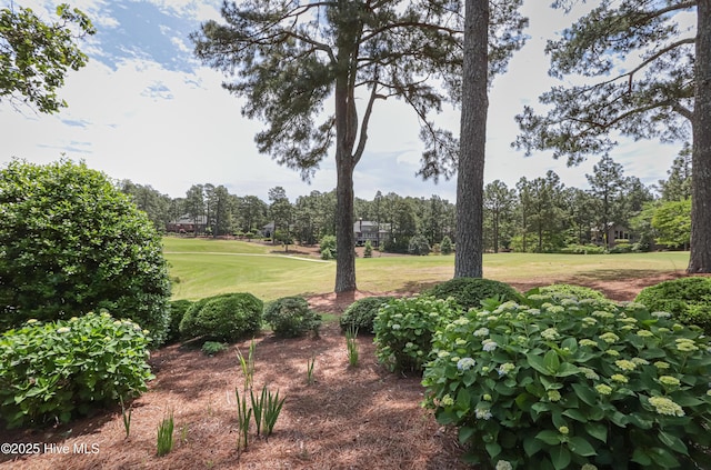 12 Shenecossett Ln, Pinehurst, NC 28374 - view of yard with view of scattered trees