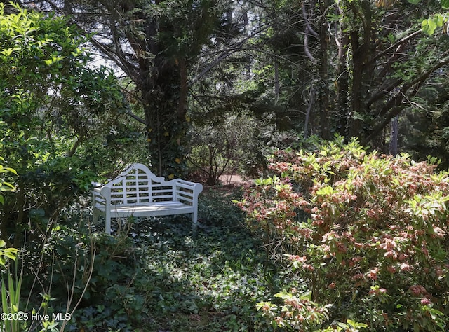 127 Sakonnet Trl, Pinehurst, NC 28374 - view of property's community