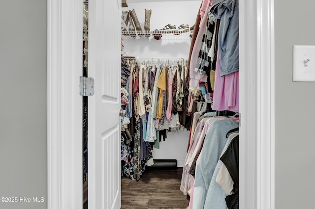 133 Fallbrook Ln, Rocky Point, NC 28457 - spacious closet with wood finished floors