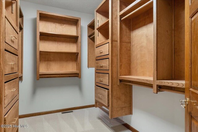 spacious closet featuring carpet floors