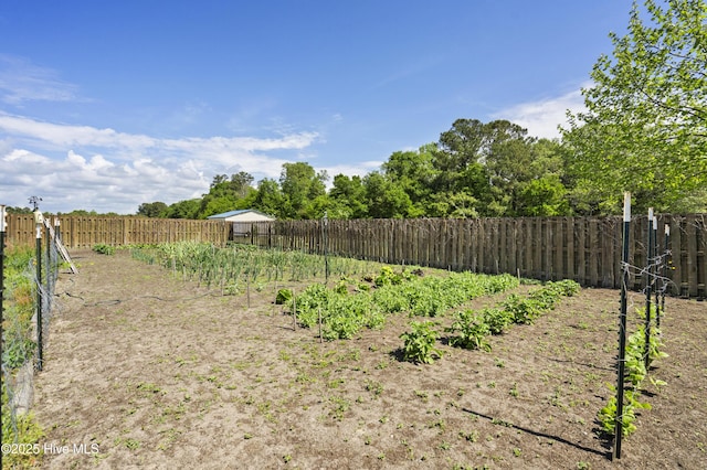 1427 Hammocks Beach Rd, Swansboro, NC 28584 - view of fenced backyard