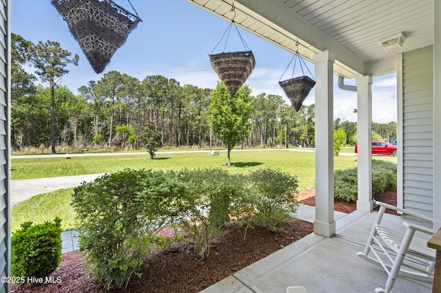 1427 Hammocks Beach Rd, Swansboro, NC 28584 - view of patio / terrace with covered porch and view of scattered trees