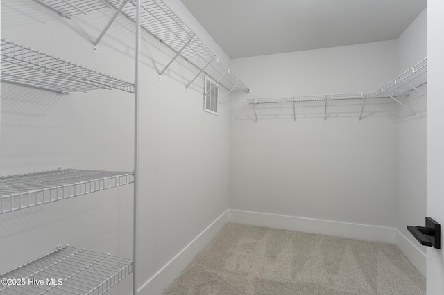 738 Hollybriar Loop Rd SE, Bolivia, NC 28422 - walk in closet featuring carpet flooring