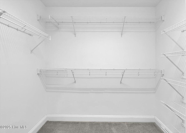 spacious closet with carpet flooring
