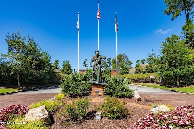 view of home's community