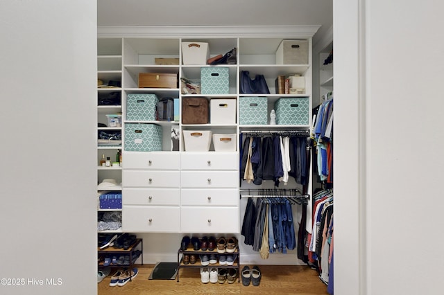 429 Canvasback Ln, Sneads Ferry, NC 28460 - view of closet