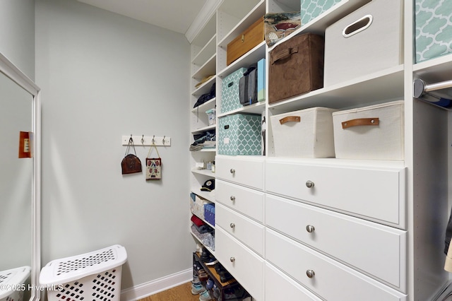 429 Canvasback Ln, Sneads Ferry, NC 28460 - spacious closet featuring wood finished floors