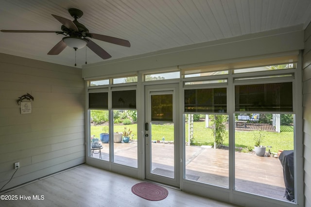 429 Canvasback Ln, Sneads Ferry, NC 28460 - doorway with ceiling fan, wood finished floors, and wood walls
