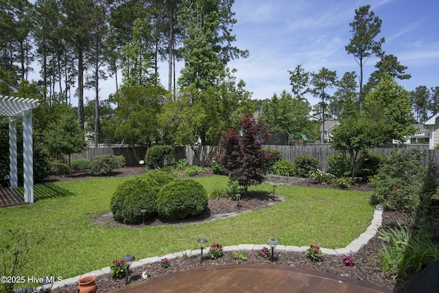 429 Canvasback Ln, Sneads Ferry, NC 28460 - view of yard