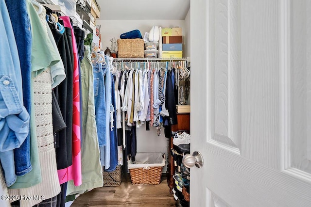 spacious closet featuring wood finished floors