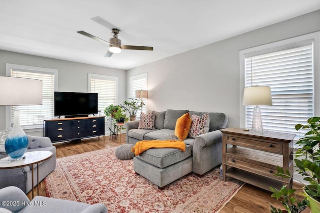 living area featuring a ceiling fan, plenty of natural light, and wood finished floors