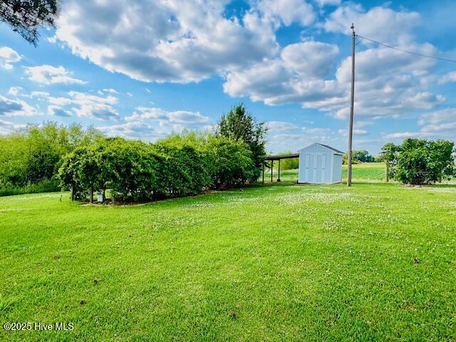 45 Hb Lewis Rd, Clinton, NC 28328 - view of green lawn with a shed and an outbuilding