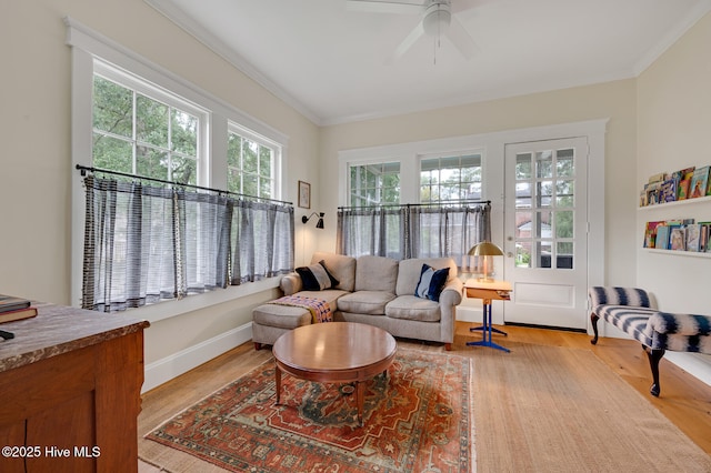 living room featuring ceiling fan, ornamental molding, baseboards, and light wood-type flooring
