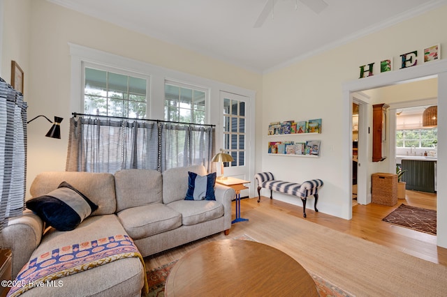 living area with light wood-style floors, baseboards, a ceiling fan, and ornamental molding