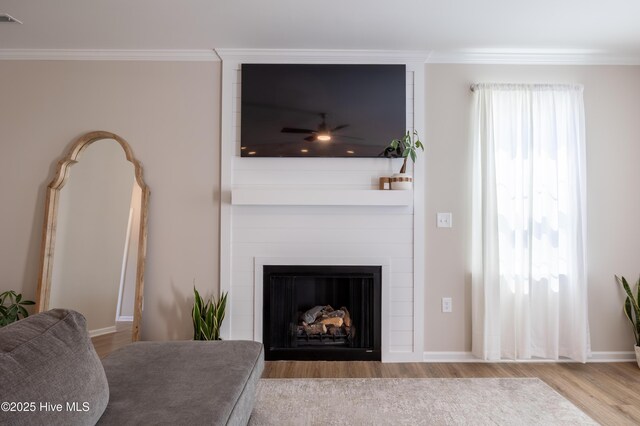 4524 Sweet Williams Ln NW, Wilson, NC 27896 - living room with crown molding, a large fireplace, baseboards, and wood finished floors
