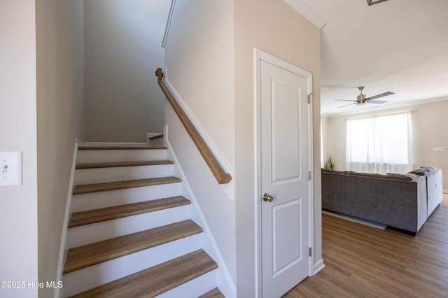4524 Sweet Williams Ln NW, Wilson, NC 27896 - stairs featuring a ceiling fan and wood finished floors