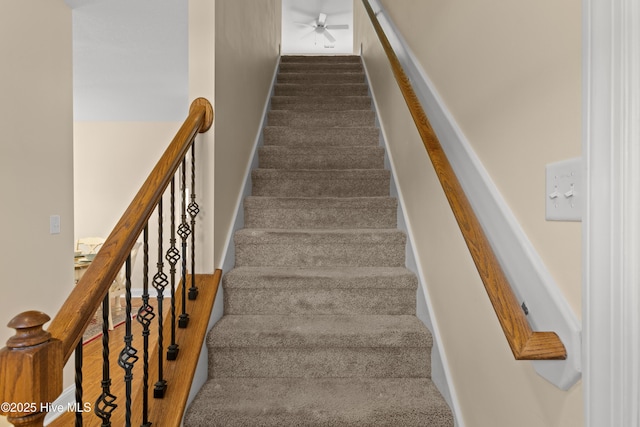 stairway featuring ceiling fan and carpet