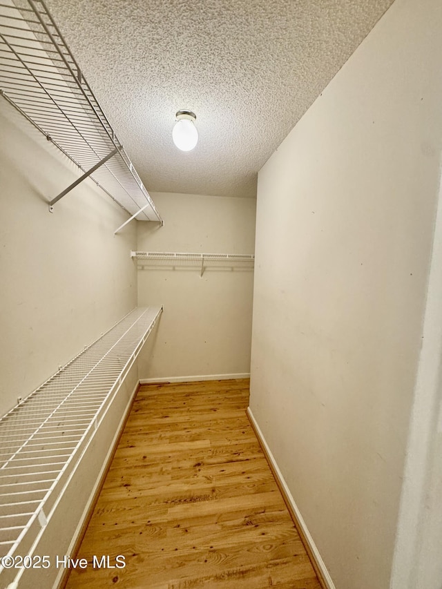 607 Spring Forest Rd Unit G, Greenville, NC 27834 - walk in closet with wood finished floors
