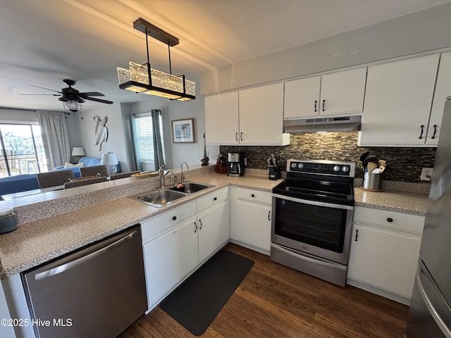 kitchen featuring appliances with stainless steel finishes, under cabinet range hood, a sink, tasteful backsplash, and healthy amount of natural light