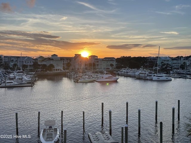 water view featuring a boat dock